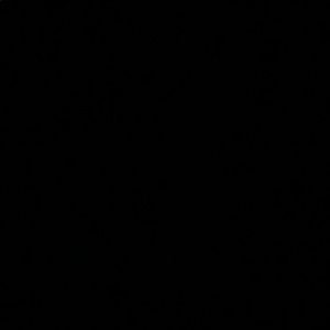 Meet your Posher, Abigail